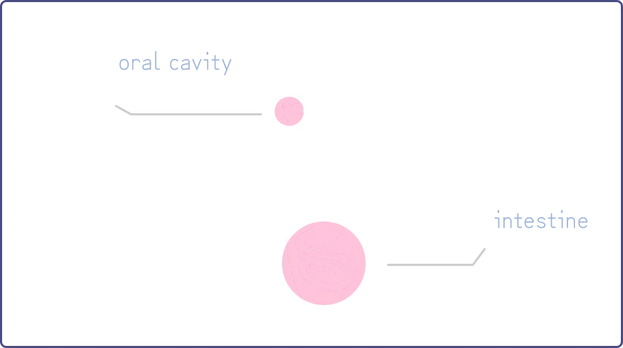 口腔と腸